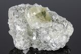 Calcite Crystal Cluster with Marcasite - Iowa #176029-5